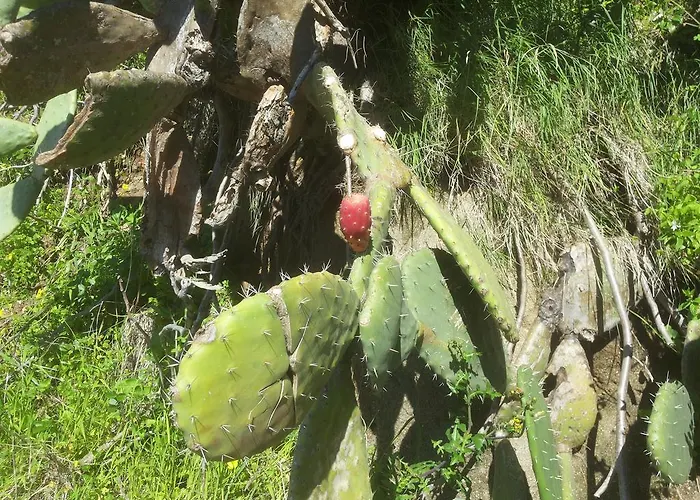 住宿加早餐酒店 伊尔尼多住宿加早餐酒店
