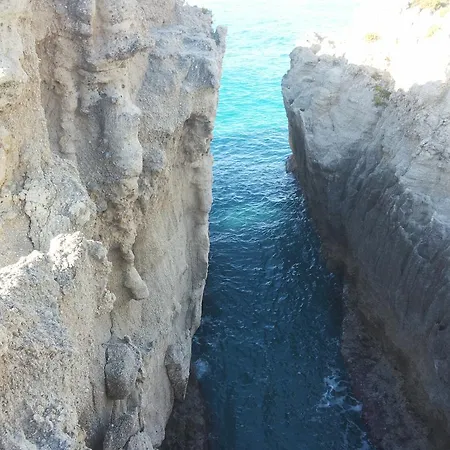 Il Nido